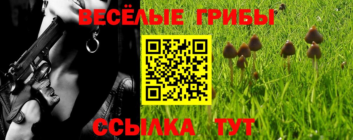 Псилоцибиновые грибы MAGIC MUSHROOMS Сальск
