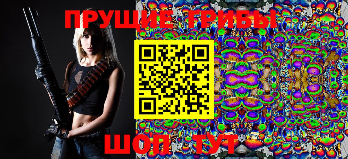 где купить наркоту  Вход с VPN  Сальск  Галлюциногенные грибы Psilocybine cubensis 